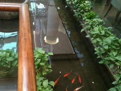 -旺顺阁鱼头泡饼(小红门店)