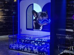 -乐潮汇时尚量贩式KTV(嘉业国际城购物中心店)