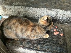 -终南山南五台景区