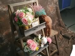 -易摄全家福照相馆(兰庭国际A座店)