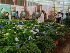 -盈香心动乐园