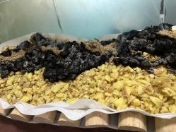 -伊童美家小儿推拿·中式养生(徐汇店)