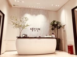-奥斯芬欧系贵族SPA
