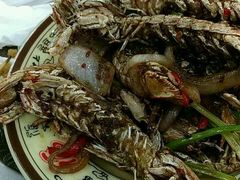 皮皮虾-虾少爷龙虾烧烤(双桥路店)