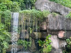 -广州神农草堂中医药博物馆