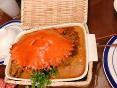 -茉莉.Red Crab