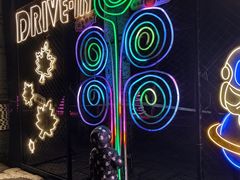 -枫花园汽车电影院(朝阳公园店)