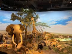 -陕西自然博物馆