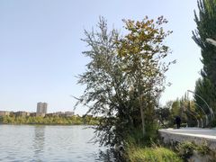 -东湖公园