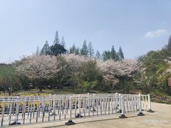 -苏州上方山国家森林公园