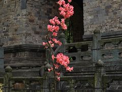 -武当山风景区
