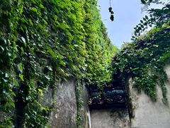 -乌镇东栅景区