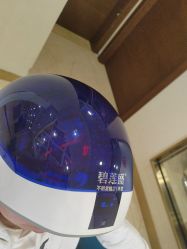 -碧莲盛·不剃发植发