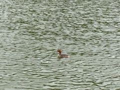 -杭州城北体育公园