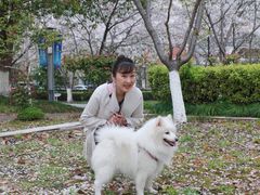 -高东镇樱花园