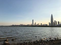 -深圳湾公园(南山区)