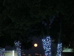 -金鸡湖景区