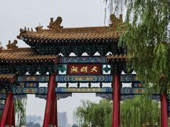 -老板恋上鱼(恒隆广场店)