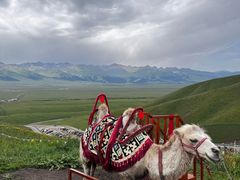 -新疆那拉提国家旅游度假区