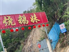 -烧鹅妹饭店
