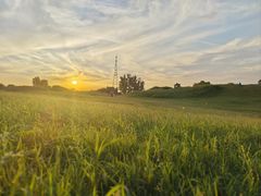 -渭河城市绿地运动公园