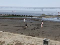 -南汇嘴观海公园