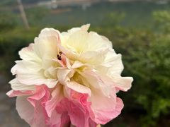 -石燕湖生态旅游景区