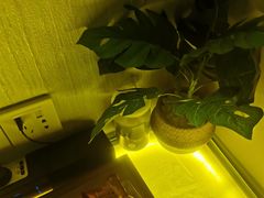 -禧瑞 ·丝浴主题·水疗·spa(中山公园店)