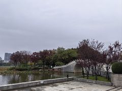 -月湖风景区