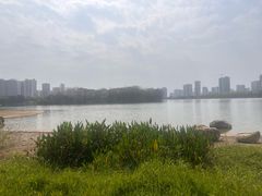 -飞来湖湿地公园