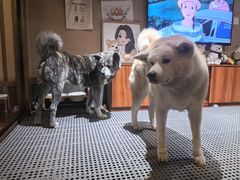-大江户·温泉洗浴(浑南店)