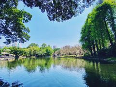 -晓港公园