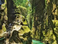-鹿院坪生态旅游景区
