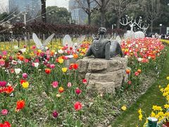 -大宁郁金香公园-停车场