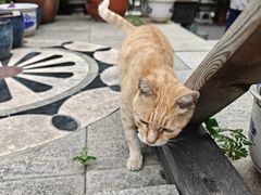 -福州开元寺