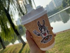 -red donkey coffee