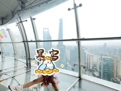 -上海大自然野生昆虫馆(东方明珠·爬宠昆虫探索中心)