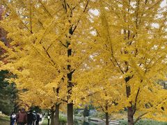 -元大都城垣遗址公园