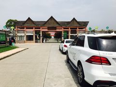 -上海都市菜园