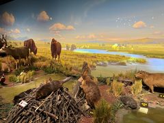 -陕西自然博物馆