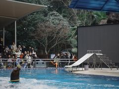 -宁波野生动物园
