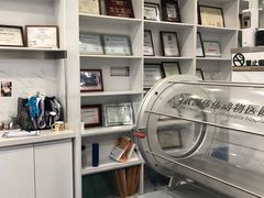 -伟伟宠物医院·CT影像中心·瑞派犬猫综合性门诊(汉口总院)
