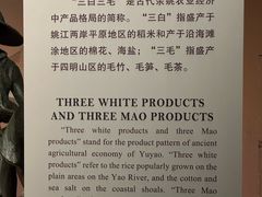 -余姚博物馆