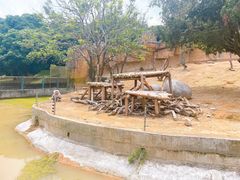 -泉州海丝野生动物世界