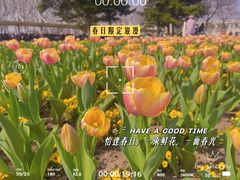 -上海辰山植物园