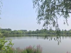 -东郊湿地公园