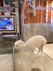 -卡通尼乐园(武商MALL·世贸店)