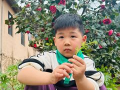 -杨家堂村