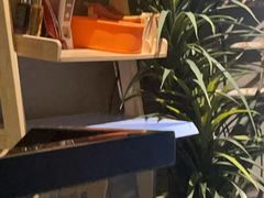 -施奈儿.洗头頭療.按摩SPA.采耳(上梅林店)