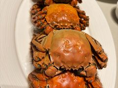 -洋洋中餐馆·SINCE 1997(信投店)